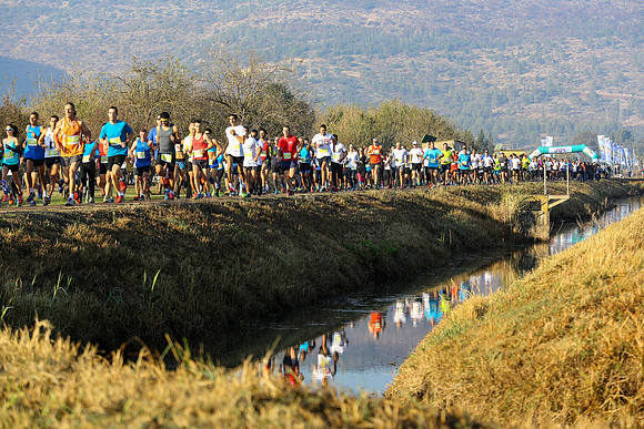 Agur Run 2016
