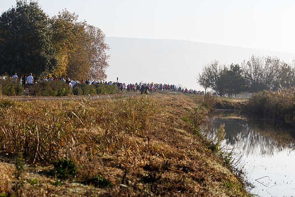 Agur Run 2016