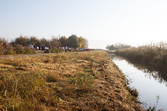 Agur Run 2016