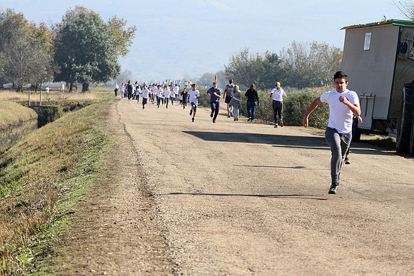 Agur Run 2016