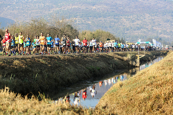 Agur Run 2016