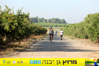 DH_gyr22-0613