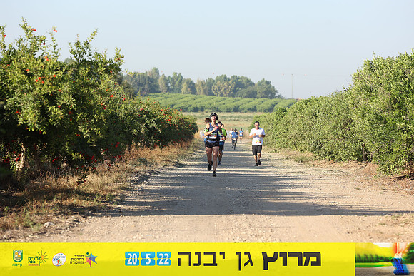 DH_gyr22-0613