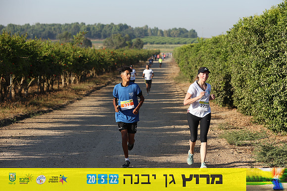 DH_gyr22-0681