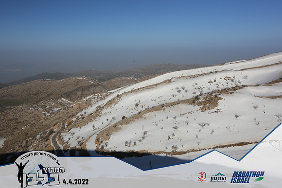 TF-wcr22-0353