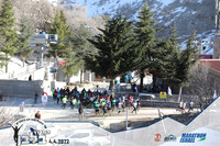 TF-wcr22-0271