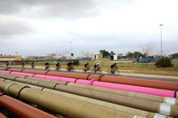 TFeder_bow23-0033
