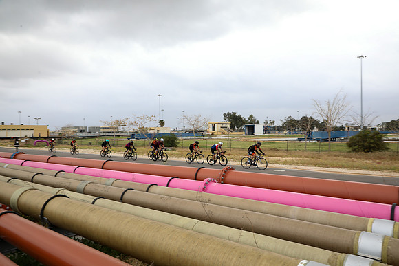 TFeder_bow23-0033