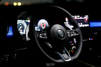 TF_Alfa_Tonale-0145
