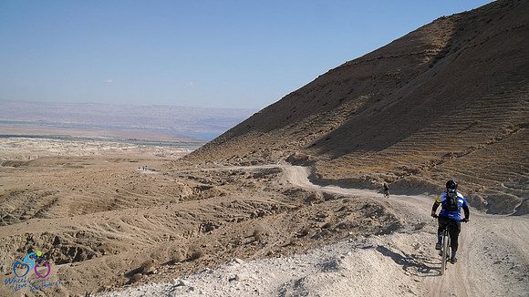 HL_WOL24-236