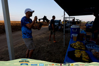 TFeder_OMGC26-1447