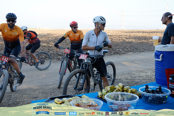 TFeder_OMGC26-1453