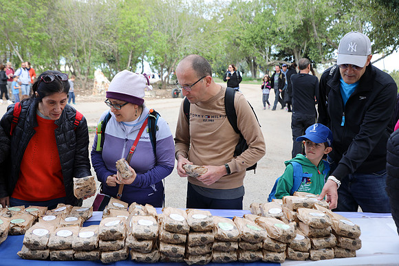 TFeder_Hm_310323-0131