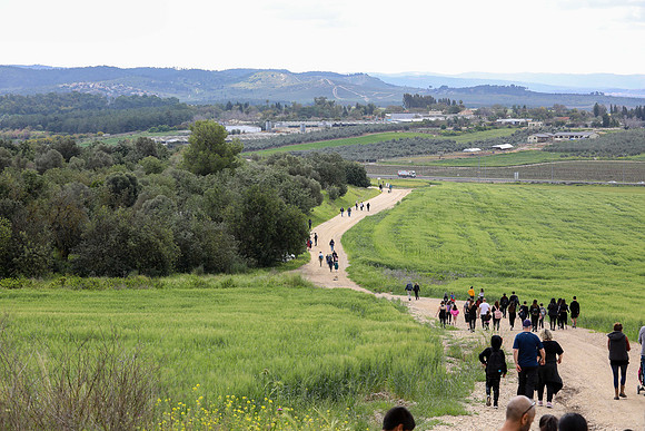TFeder_Hm_310323-0299