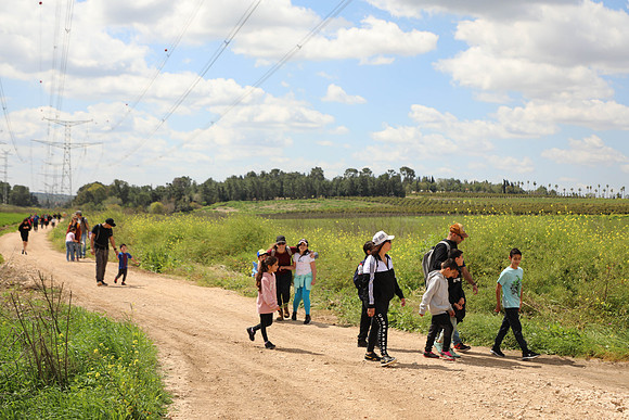 TFeder_Hm_310323-0854