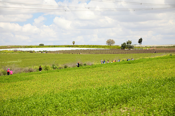 TFeder_Hm_310323-0844