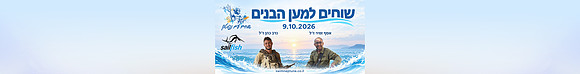 סטריפ עליון 26