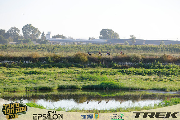 TFeder-TGEH-26-0690
