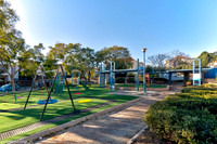 TF_Gedera-Park-091