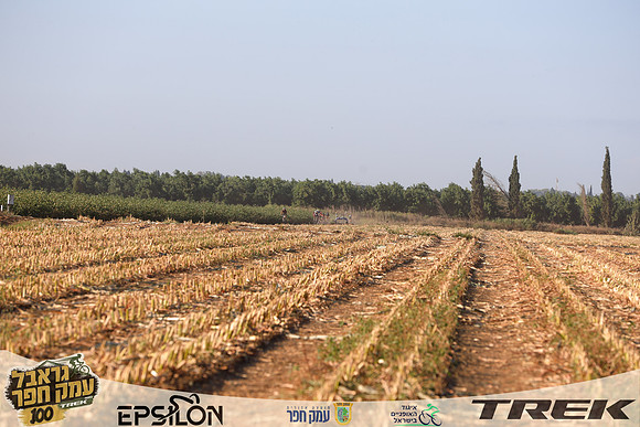TFeder-TGEH-26-0832