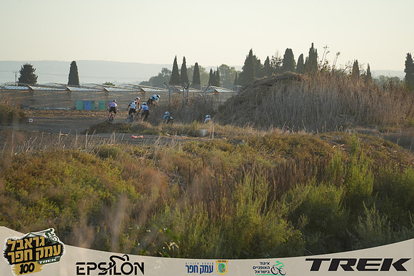 YLavi-TGEH-26-0217