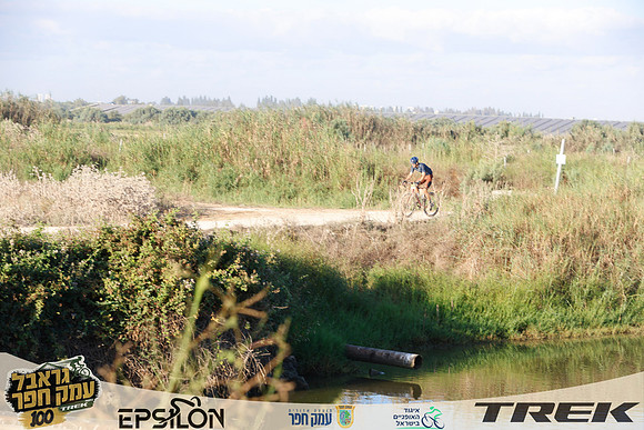 TFeder-TGEH-26-0781