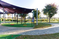 TF_Gedera-Park-058