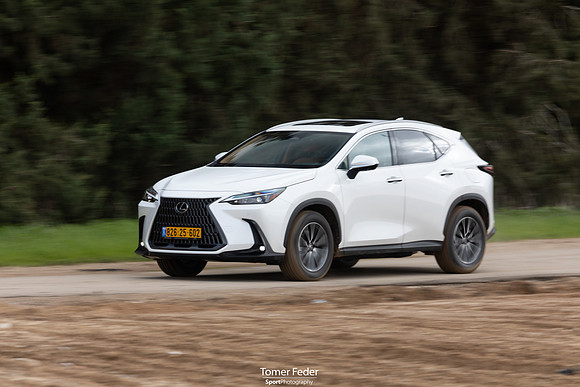 TF_Lexus-nx450h-253