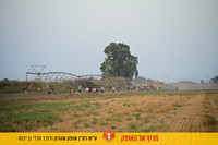 EShlomo-gy-reh26-0704