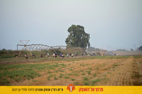 EShlomo-gy-reh26-0705