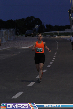 MP_DMR25-0091