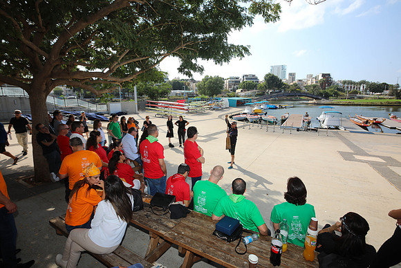 TF_dbd-201022-0872