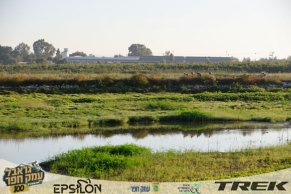 TFeder-TGEH-26-0596