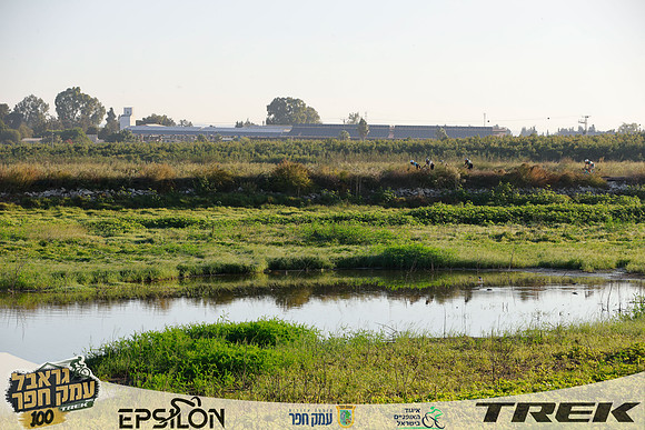 TFeder-TGEH-26-0595