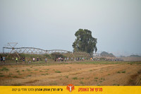 EShlomo-gy-reh26-0706