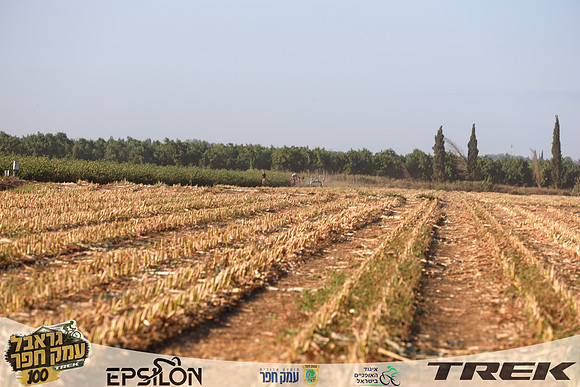 TFeder-TGEH-26-0833