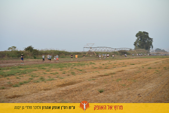 EShlomo-gy-reh26-0747