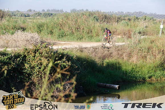 TFeder-TGEH-26-0785