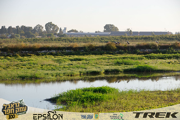 TFeder-TGEH-26-0597