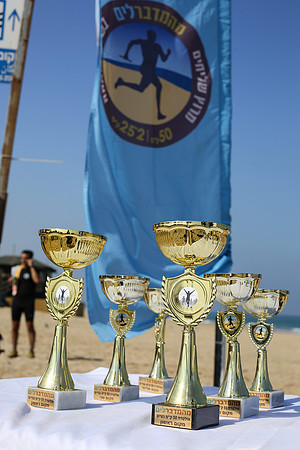 Desert 2 Sea 2017