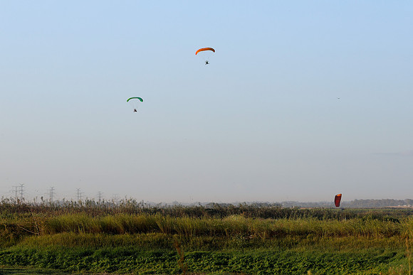 TFeder-TGEH-26-0547