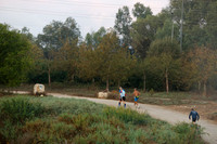 TFeder-BUWTC-26b-0270