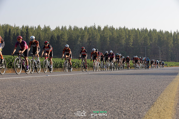 TFeder_ILC-Road24-0386