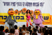 הבמה המרכזית