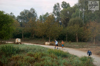 TFeder-BUWTC-26b-0270