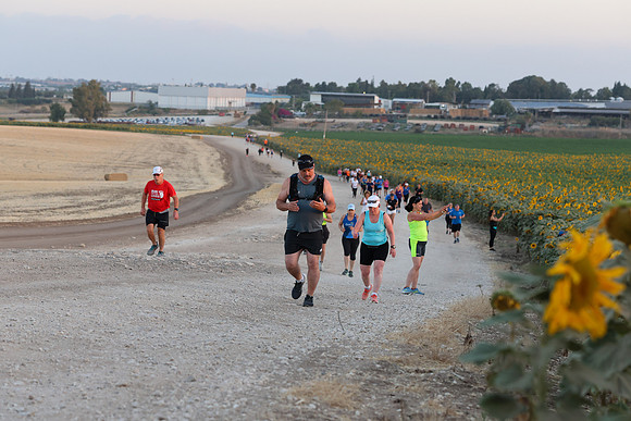 TFeder_esfr-300525-0339