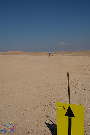 DZ-d2_WOL24-055