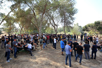 TF_F-estival-22-0122