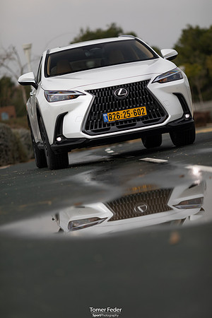 TF_Lexus-nx450h-047