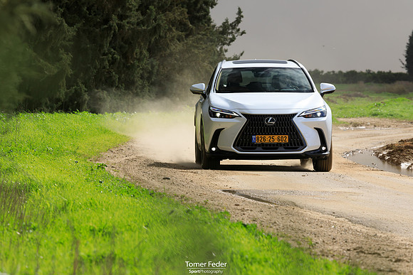 TF_Lexus-nx450h-333